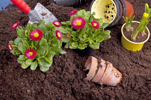 Gardener working on a small front garden in Mitcham