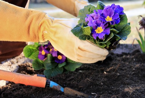 Gardener making adjustments to a planted bed