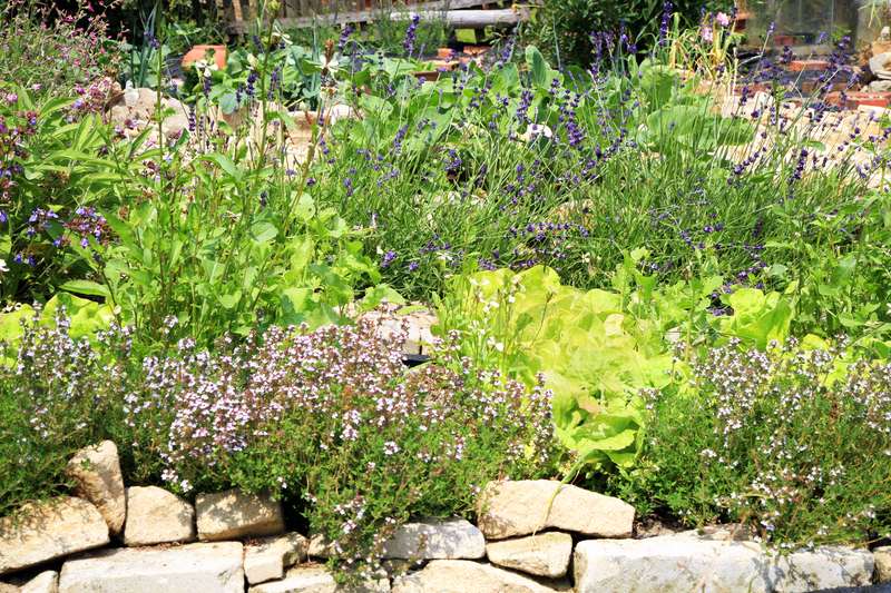 Select the Ideal Tall Potted Plants for Cozy, Private Retreats